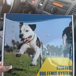 Electric Dog Fence 