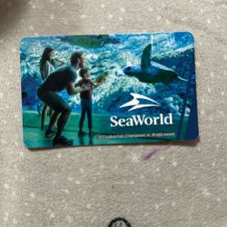 1 Day Seaworld Christmas Pass 