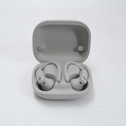 Beats Powerbeats Pro Wireless Earbuds  Sage Gray