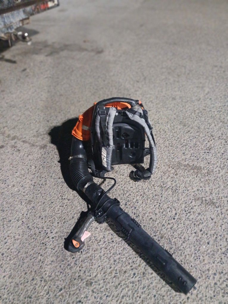 ECHO BLOWER