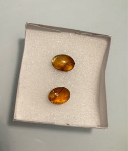 Dominican Amber Earrings