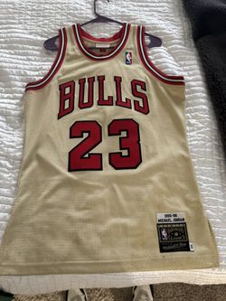 Micheal Jordan Mitchell & Ness 95-96 Sz 40(M)