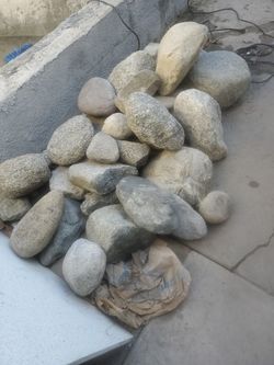 Pond Rocks