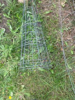 Tomato cages