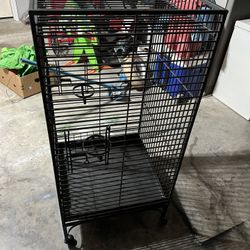 Bird Cage 