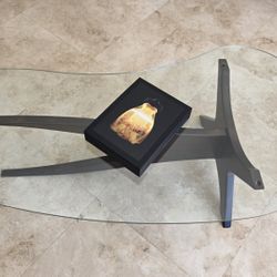 Adrian Pearsall Jack's coffee table