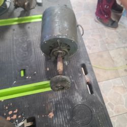 Polisher Motor