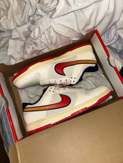 Nike dunks retro size 10M