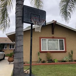 Free Basketball Hoop