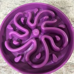 Large Pet Slow Feeder Laberinto