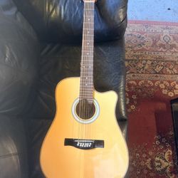 Steel string guitar (12 strings)
