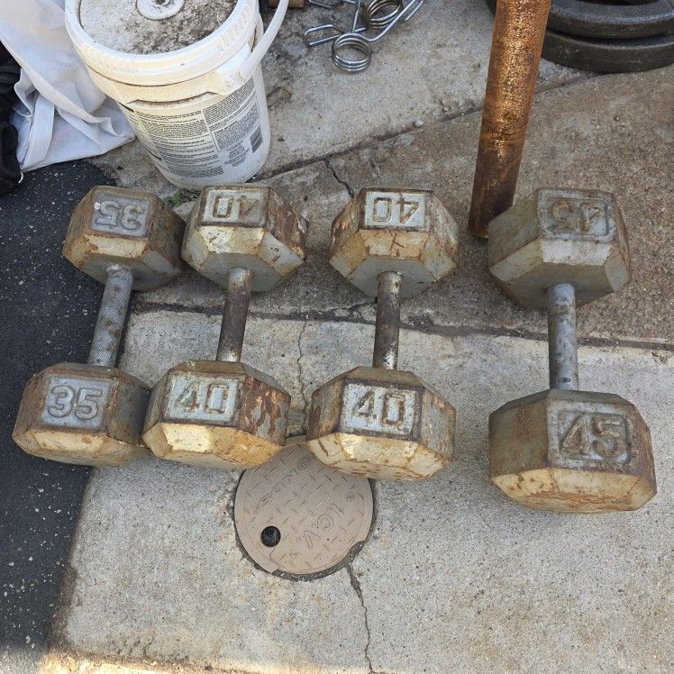 Hex Dumbbells