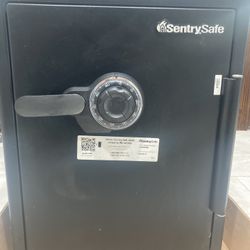 SentrySafe Black Fireproof/Waterproof Floor Safe