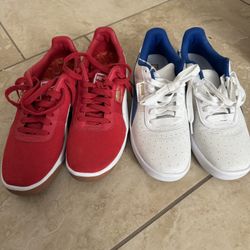 Pumas