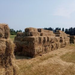 LOCAL GRASS HAY $10/BALE