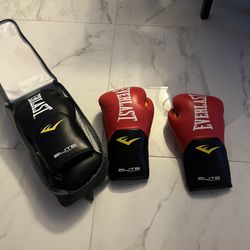 Everlast 16 Oz Boxing Gloves