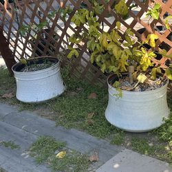 Garden Hose Storage Or Plant Pot Metal White 
