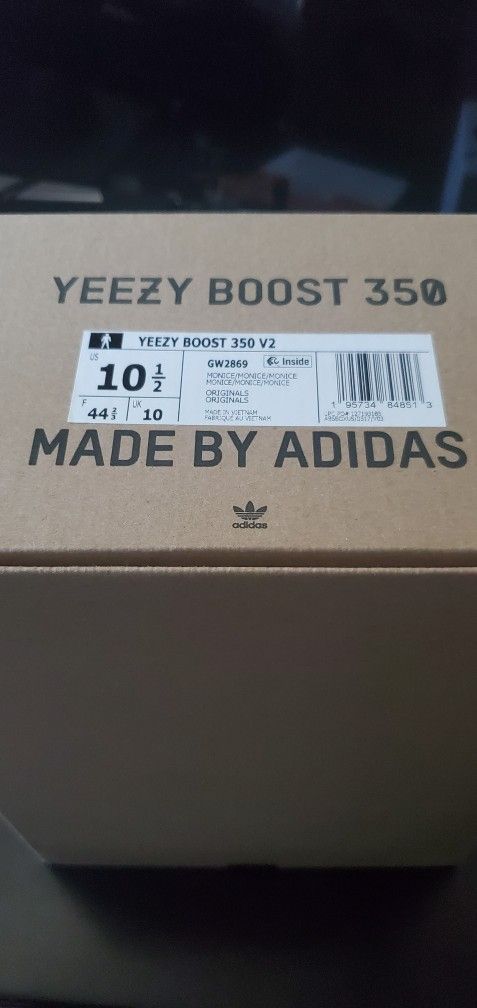 Yeezy Boost 350 Mono Ice