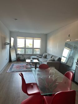 Everything must go apartment furniture