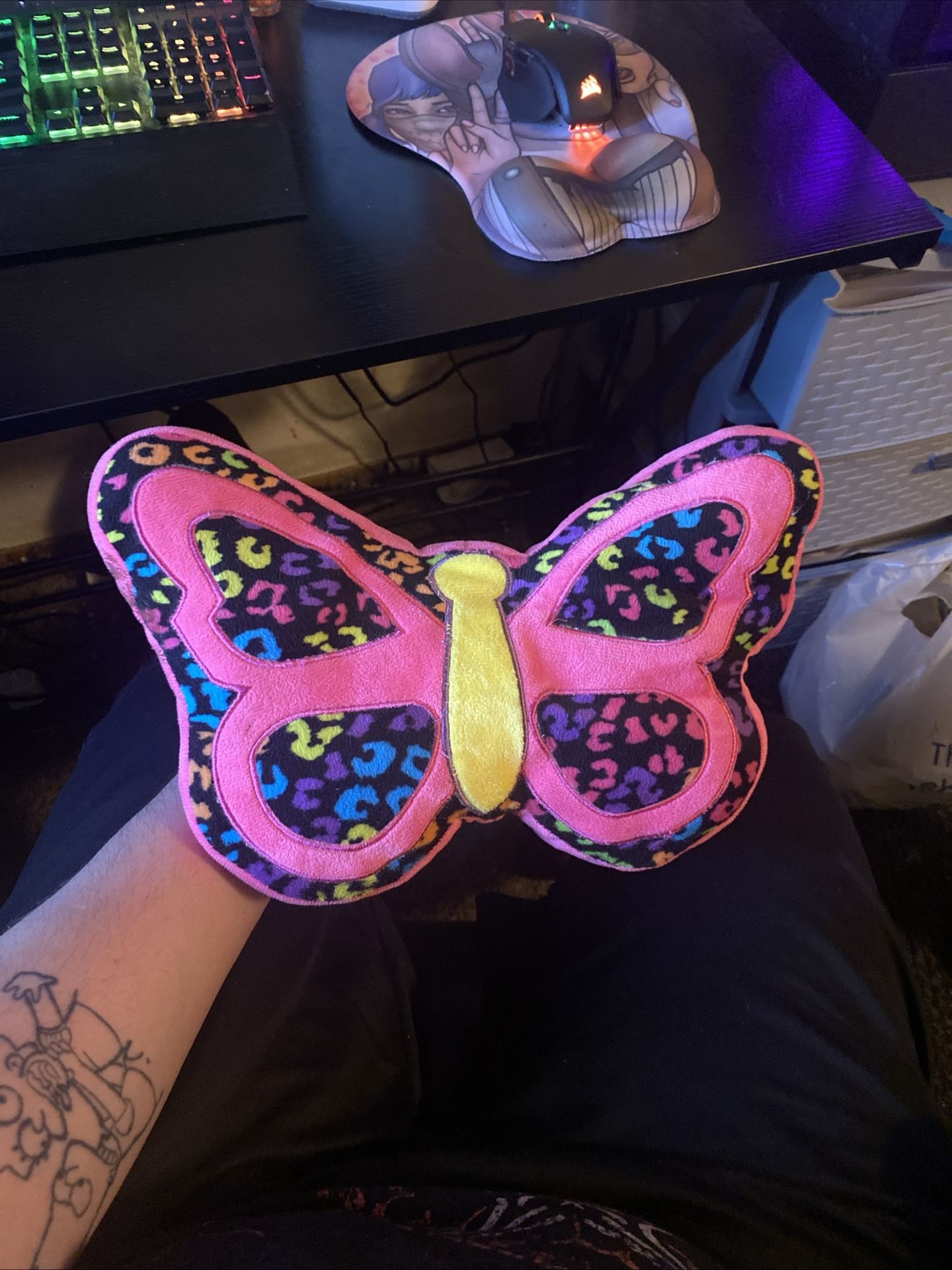Big Colorful Butterfly