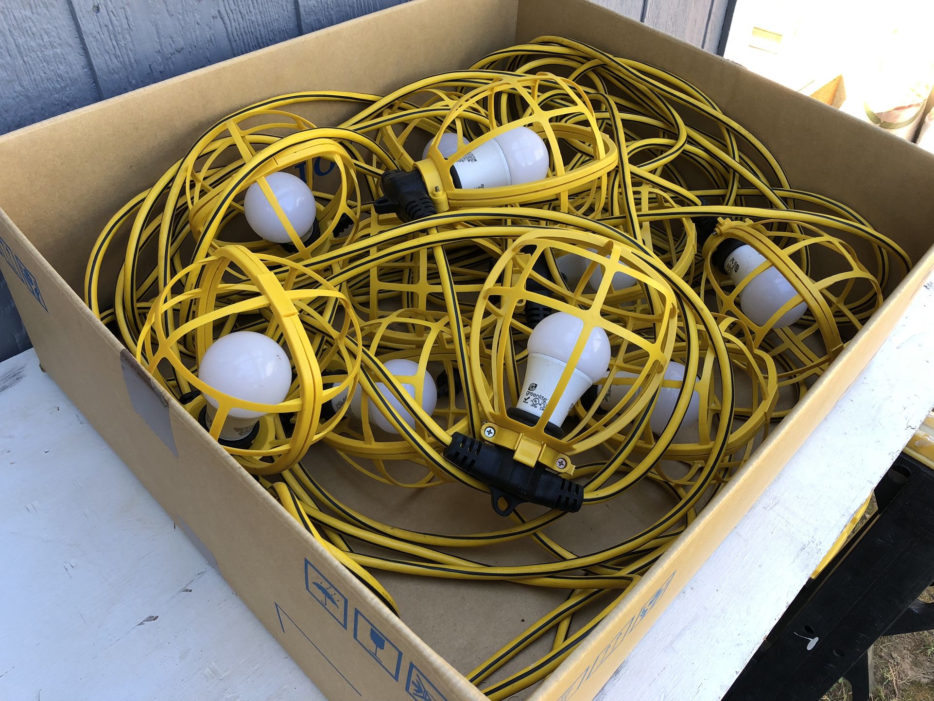 Cage Light String  100 Feet