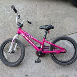 Specialized Hotrock 16 Inch Bike