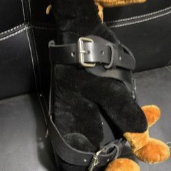 Dog Harness