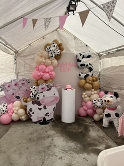 Balloon Garland
