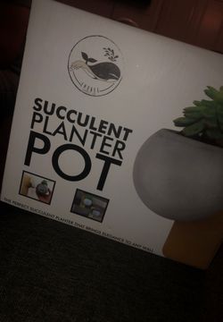 Succulent planter pot