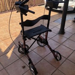 Walker With Seat 