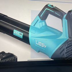 Leaf Blower Cordless With the Two Batters And Battery Charger 