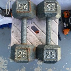 25 Pound Dumbbells 