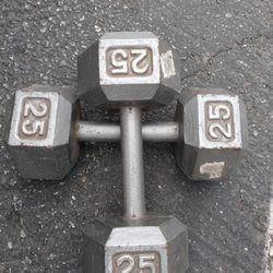 25 Pounds Dumbbells