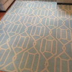 Outdoor/Indoor Area Rug