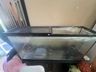 Fish tank