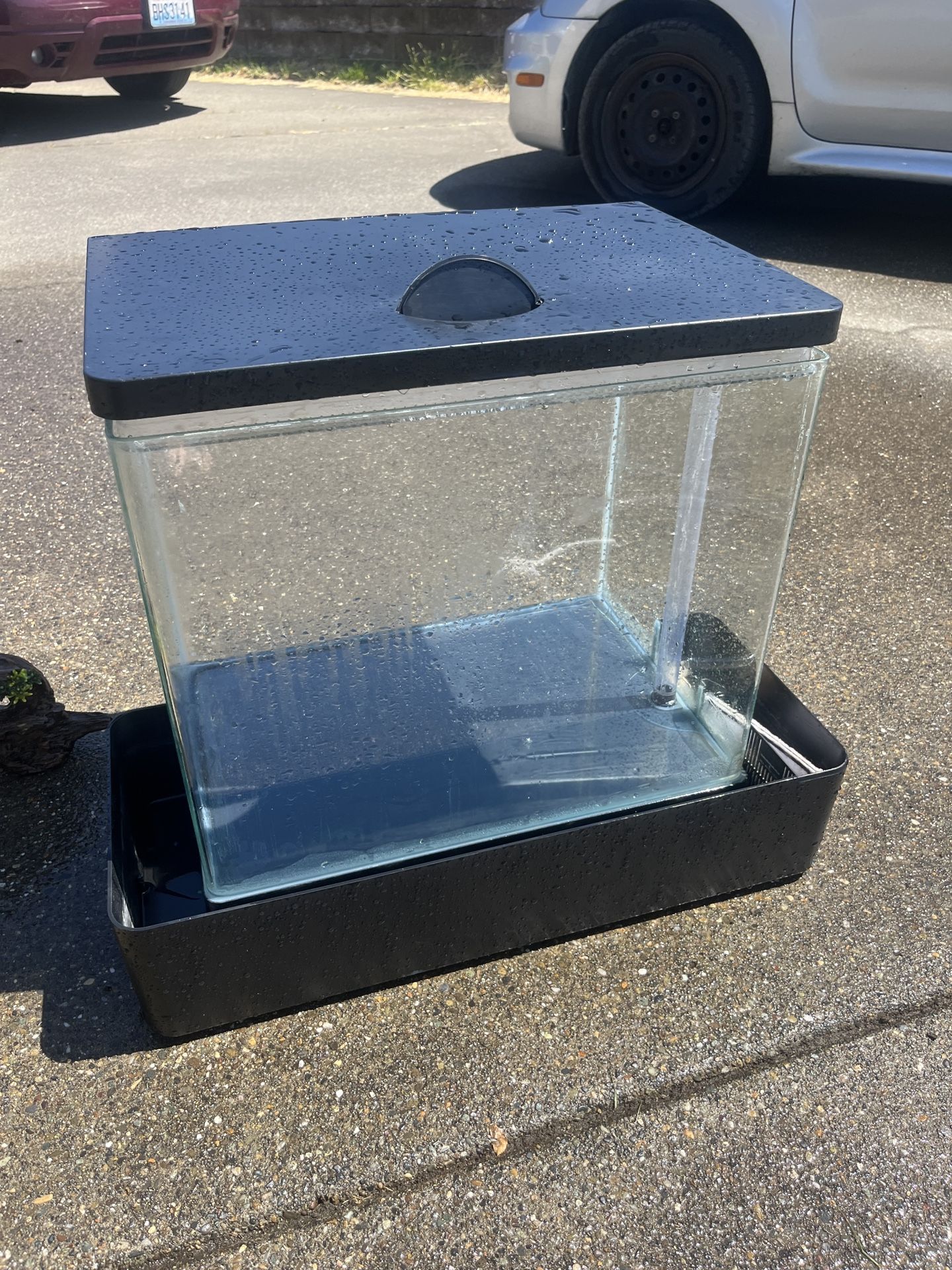 Fish tank with decorations/pump