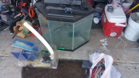 Fish tank and accessories