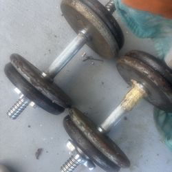 Weight bench black and white and weights 2x