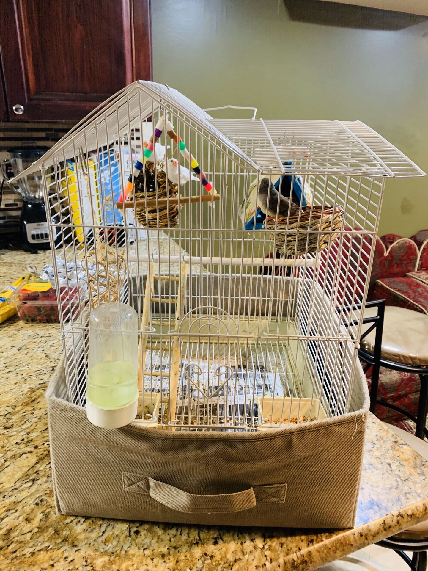 Bird cage