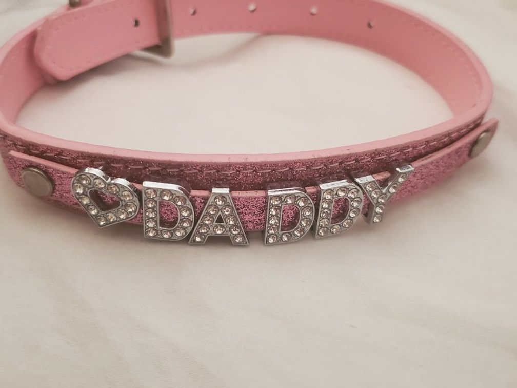 Adorable Dog Collar