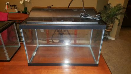 10 gallon fish or reptile tank