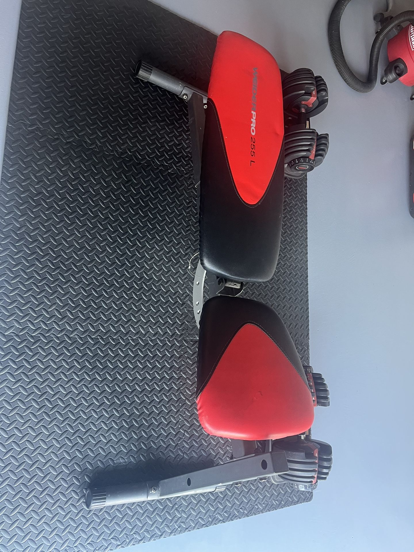 Weight Bench (only)