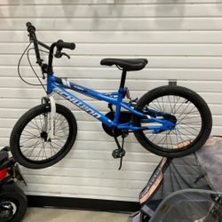 Schwinn Bike 