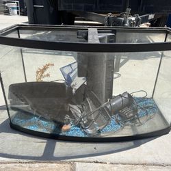Fish Tank 