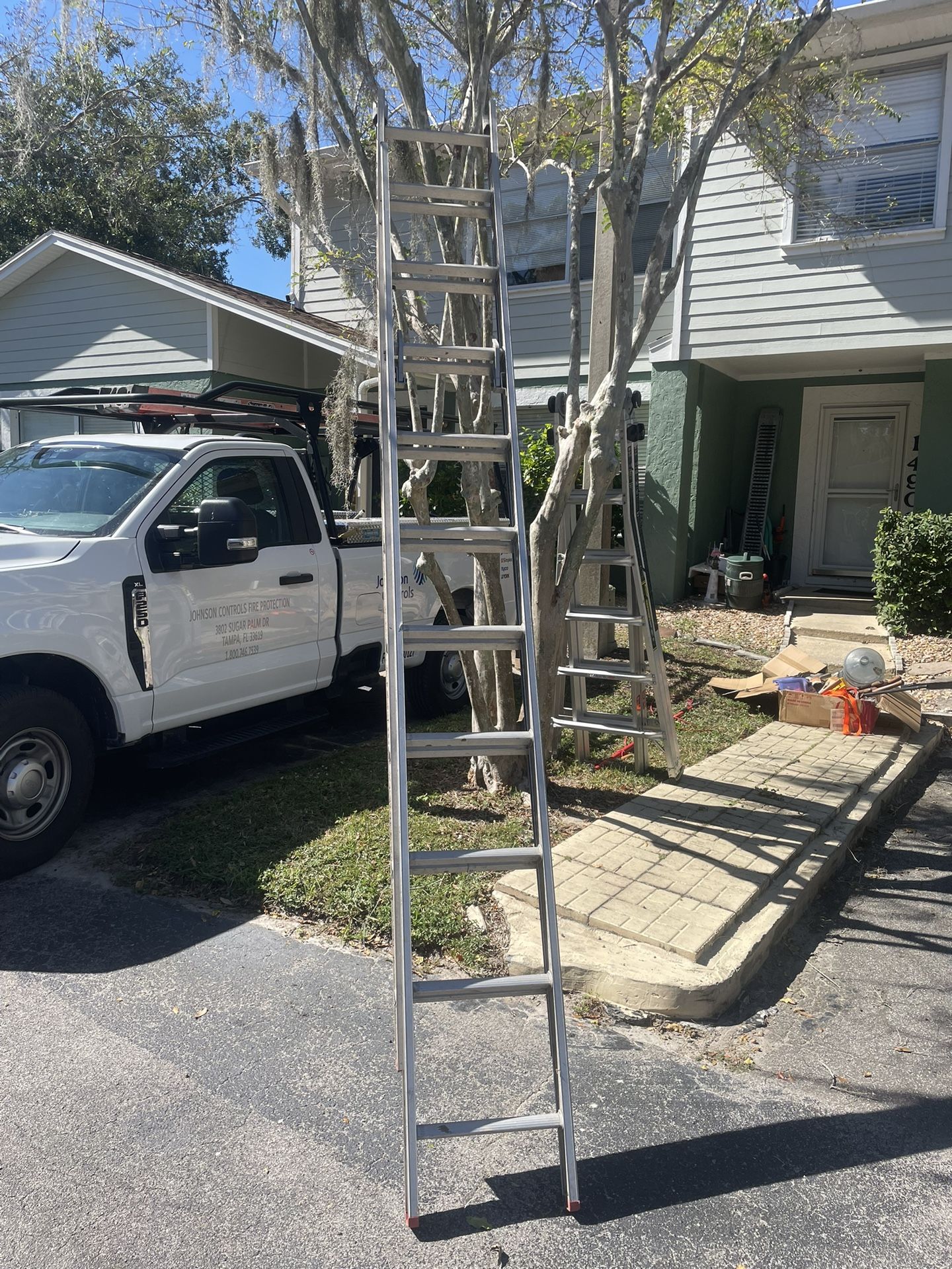 Werner 20ft Ladder