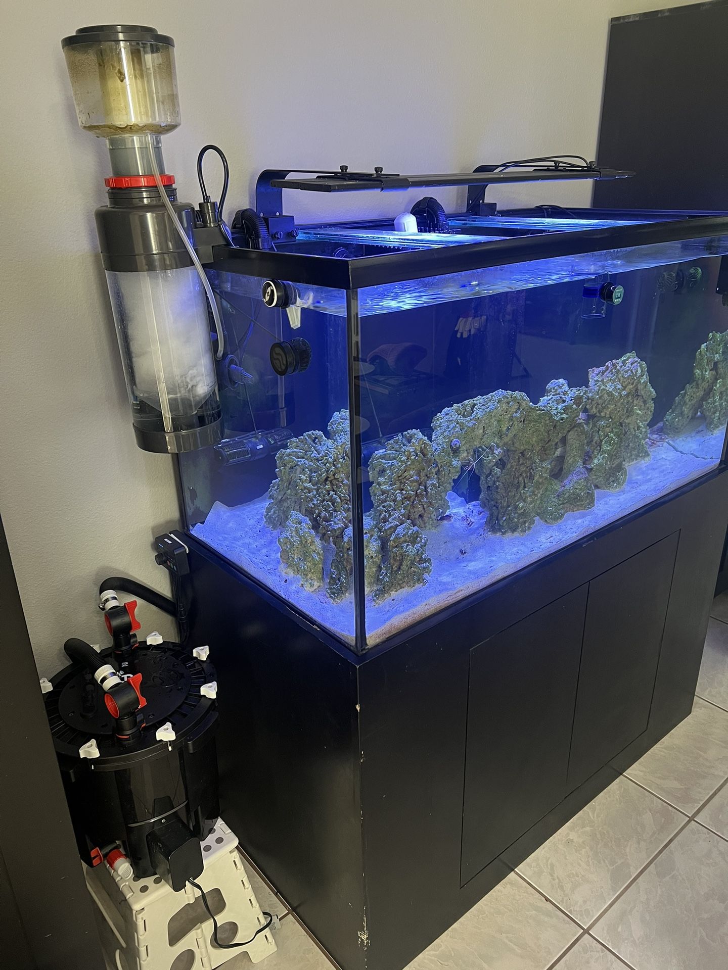 COMPLETE SALT WATER TANK SETUP