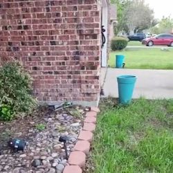 4 Large Turquoise Resin Indoor/from LOWES 