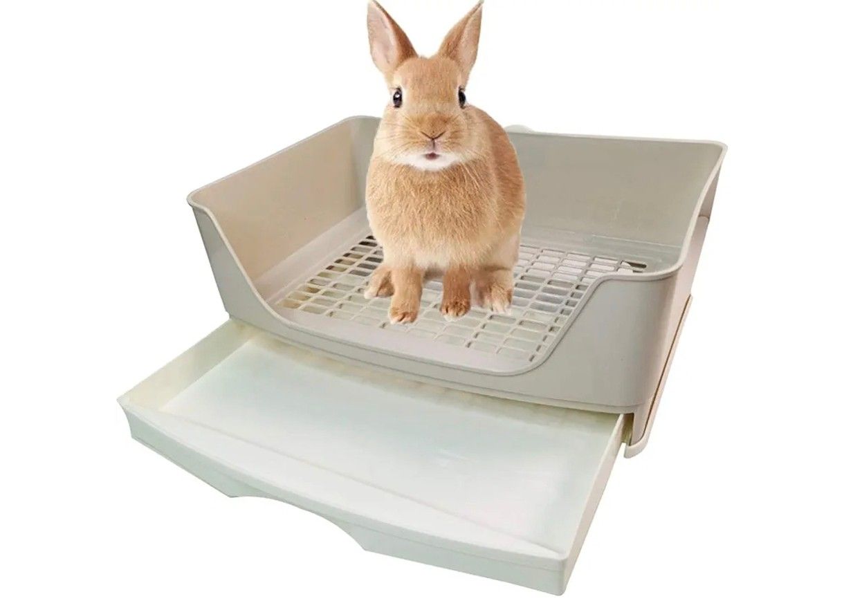 Rabbit Litter Box Trainer