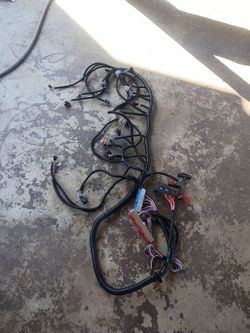 Stand alone harness Ls