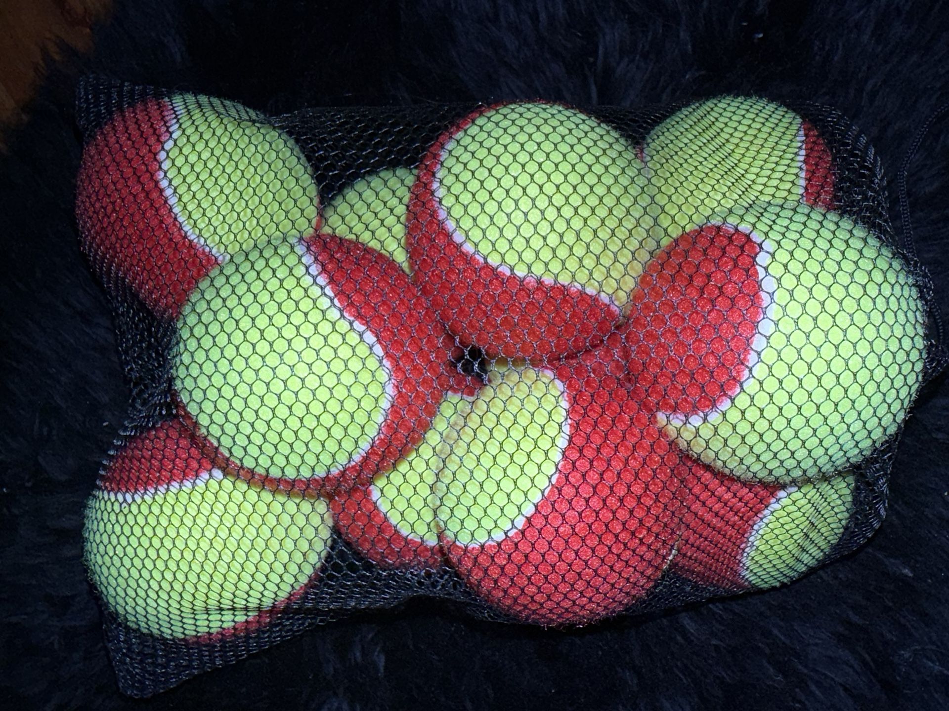 10 Pack Tennis Balls